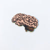 Brain Appliqué