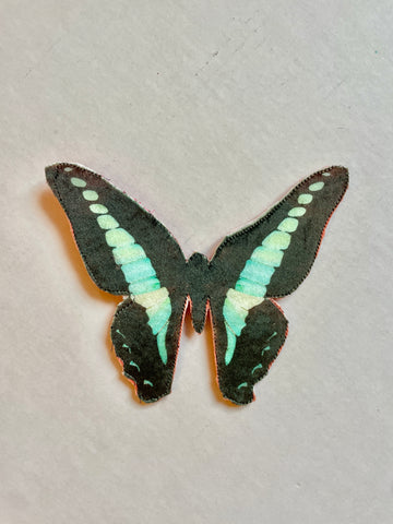 Aqua/Black Butterfly Brooch/Ornament