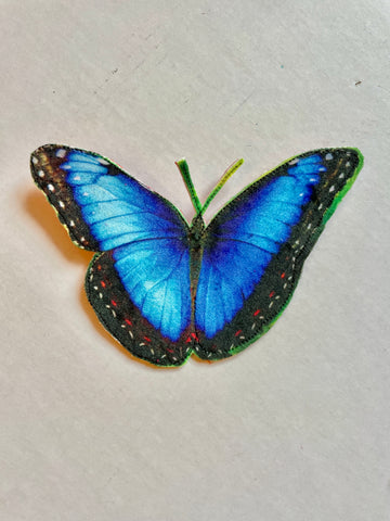 Blue Butterfly Brooch/Ornament