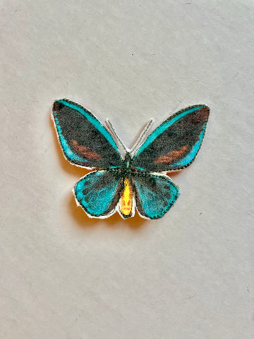 Butterfly Brooch/Ornament