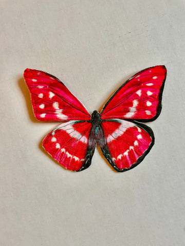 Red and White Butterfly Brooch/Ornament