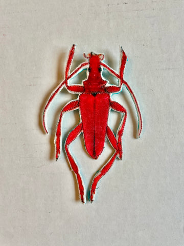 Beetle Brooch/Ornament