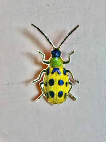 Beetle Brooch