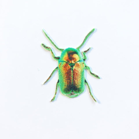 Yellow and Green Beetle Appliqué