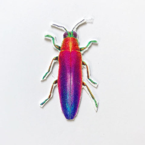 Rainbow Beetle Appliqué