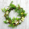 Living Succulent Wreaths